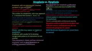 114P Anaplasia vs Dysplasia