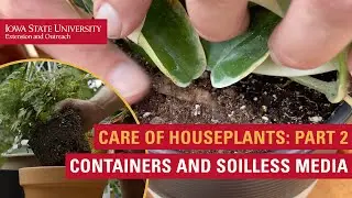 Care of Houseplants, Part 2: Selecting Containers and Soilless Media