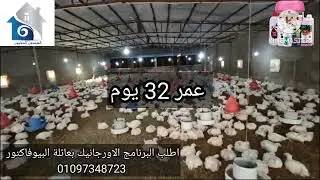 في الجيزة  اوزان زمان مع البرنامج الاورجانيك بعائلةالبيوفاكتور للعام السادس ع التوالى