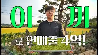 [역전의 부자농부 324회] 이끼로 연 매출 4억 원! 충북 청주 윤태근 부자농부