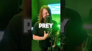 How do you like our single, PREY? #linesothin #rockmusic #rockband #fyp #discover