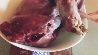 Рецепт приготовления зайца «Заяц с яблоками и сыром»