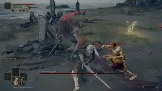 Beat the boss of Castle Morne!