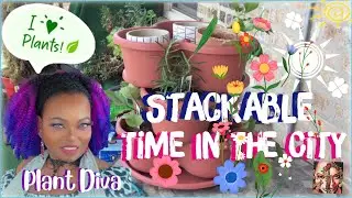 Windy City Garden Stackable Fun : Vlog ℒ𝞪𝑑𝝲 ℒ𝞪 Gata7@Plant Diva:It’s Just Me La Gata7! #plants
