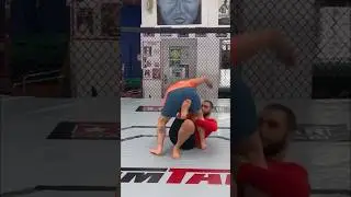 Using a failed Uchi-Mata to slide into our leglocks. Find out more on Jujiclub! #bjj #mma