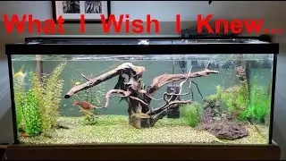 10 Things I Wish I Knew Before Buying a 75 Gallon Aquarium