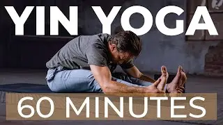 60 Min Yin Yoga Total Body Stretch l For the Spine, Hips, Thighs & Shoulders