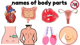 basic parts of the body in English | You have to learn this parts