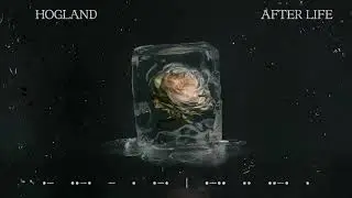 Hogland - After Life [Visualizer video]