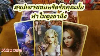 สรุปเขาชอบหรือรักคุณมั๊ยทำไมดูเขานิ่ง✍️Pick a Card✍️