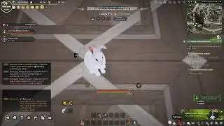 Полет на шарике Грез Black Desert Online