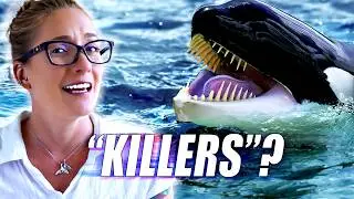 Why Are Orcas Called Killer Whales When They're Dolphins?