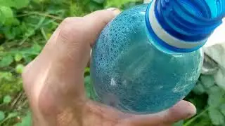 как защитить пчел от ос и шершней