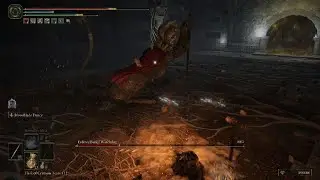 ELDEN RING - 244h logged in, and found a Dungeon!