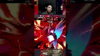 THE FALCO SLAYER