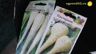 Секреты пастернака