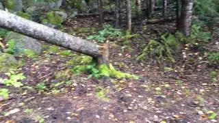 Stone Campsites