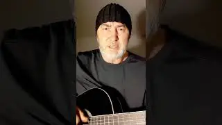На ковре из жёлтых листьев