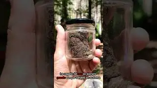 Excremento de Oso, Lobo y Lince
