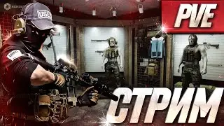 Прокачивает PVE аккаунт до Вайпа | Легкий и Общительный стрим  [Escape from Tarkov]