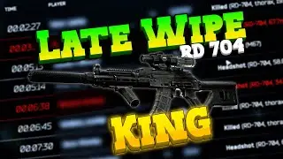The RD-704 Rules Late Wipe Tarkov (Loadout & Raid Guide)