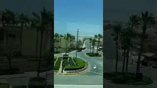 Apartments, Villas, road, landscaping in Palm Island Dubai