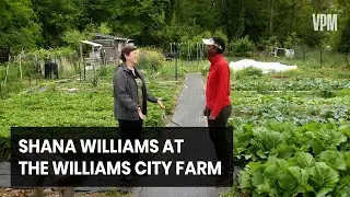 A Garden That Brings the Neighborhood Together