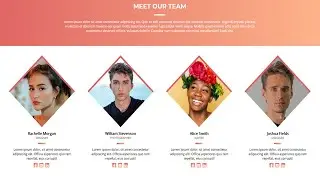 Create This Responsive Our Team Page | HTML & CSS Only