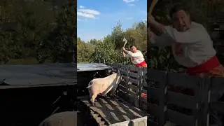 Смалец от Русича 🔥