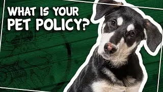 What Is The Papoose Pond Pet Policy?