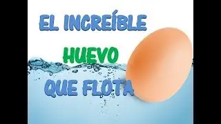 EL INCREÍBLE HUEVO QUE FLOTA!!!!