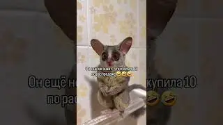 Когда знаешь, что ароматы классные #парфюмерия #парфюмерныеновинки #парфюмернаяколлекция #орифлэйм