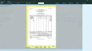 Print Data in tally