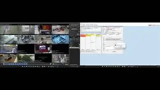 Digifort Live Witness DAM Integration