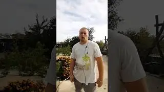 Шара Булеет против Бруно Сильвы ММА Кто выграет в бою???