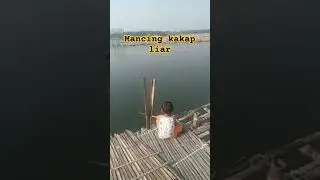 MANCING KAKAP BARRAMUNDI LIAR  DI MUARA #fishing #mancing #ikan