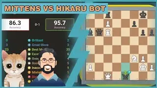 Whats a Brilliant Move: Mittens vs Hikaru 🔥