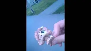 Как мы живём
