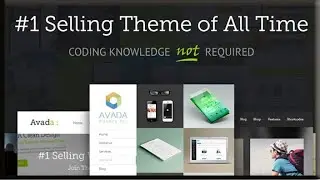 Best Premium Website Templates