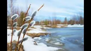 6 МАРТА ТИМОФЕЯ-ВЕСНОВЕЯ, ПРИМЕТЫ, ОБРЯДЫ, СУЕВЕРИЯ.