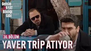 Yaver Trip Atıyor - Gelsin Hayat Bildiği Gibi (36. Bölüm)