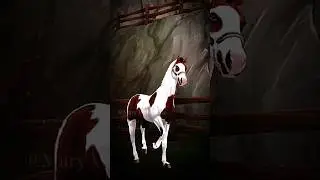 This horse thoughhh 🤩