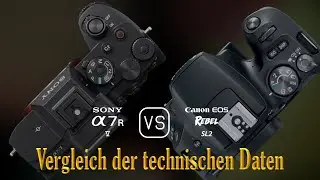 Sony A7R V vs. Canon EOS Rebel SL2: Ein Vergleich der technischen Daten