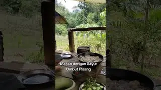 Sahabat Tani, our dish today is banana umbut with eggplant pipit.