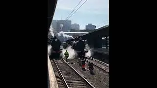 Steam locomotive 3265 shunts.  #steamengine #trains