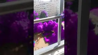 3 августа 2024 г.