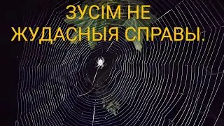 Зусім не жудасныя справы.