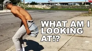 What Am I Looking At!?