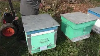заключительные работы перед зимовкой у пчёл.