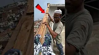 pigeon loft outdoor design part 2 😍 | #pigeontips #pigeon #kabootar #shortsfeed #shorts